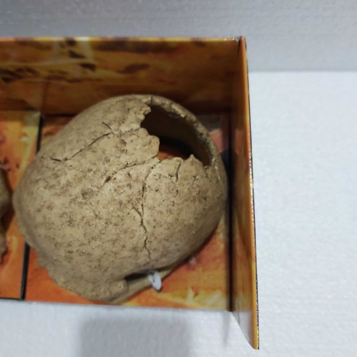 Декорация за терариум