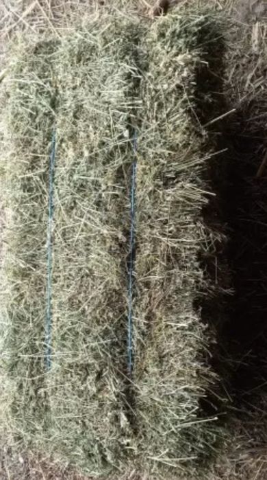 Vând baloti producție 2025