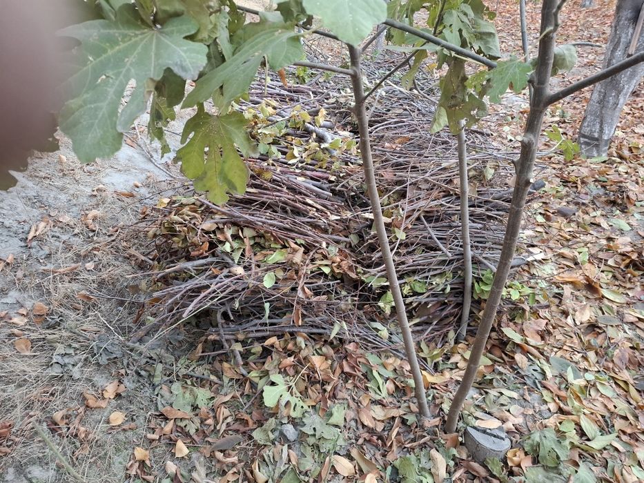 Дрова , o'tin продаётся