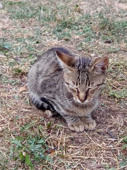 2 baietei si o fetita