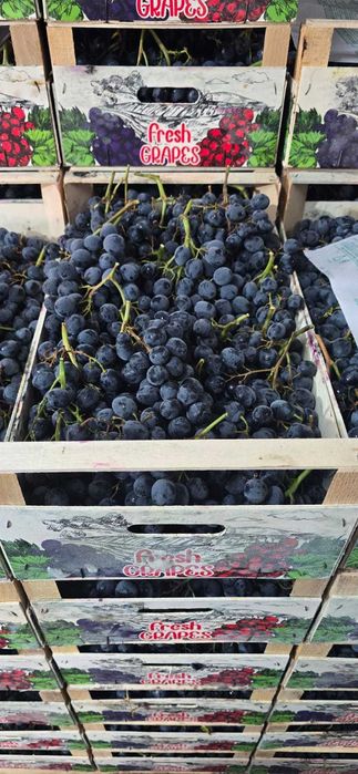 Struguri calitate superioara