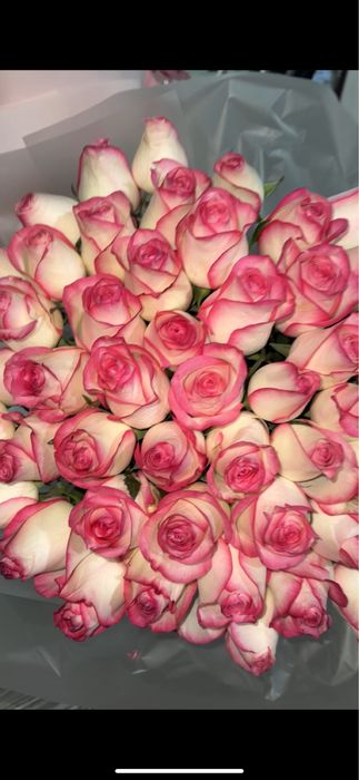 51 шт роза сатамын, 16к