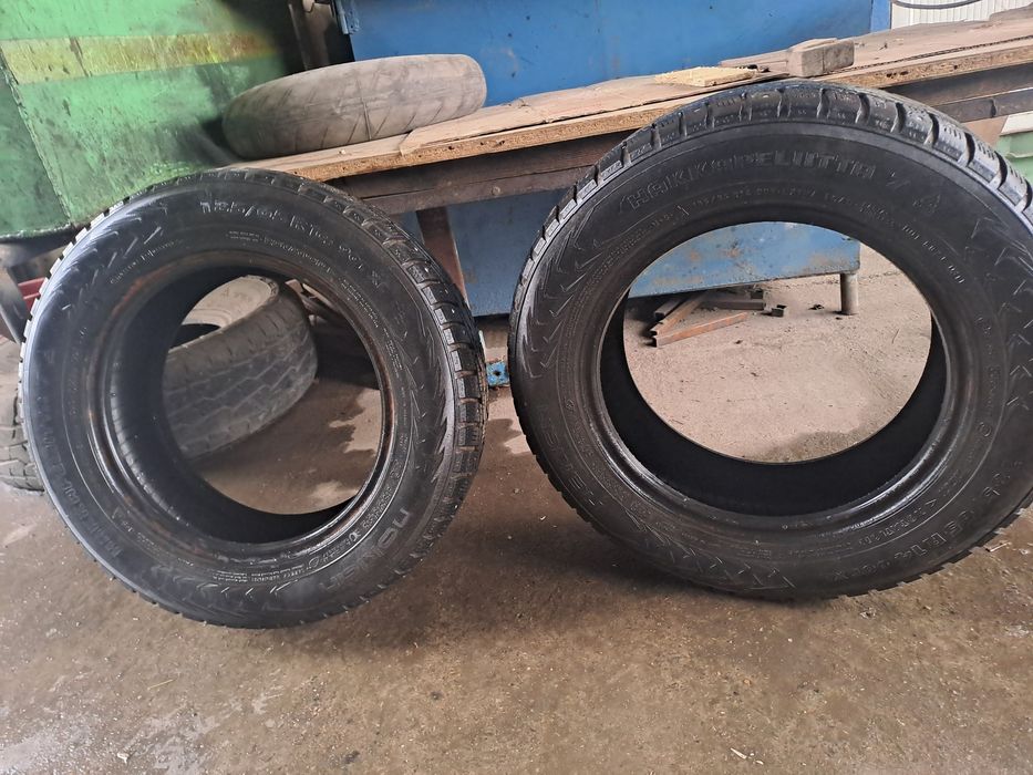 Шына шипоаый буу