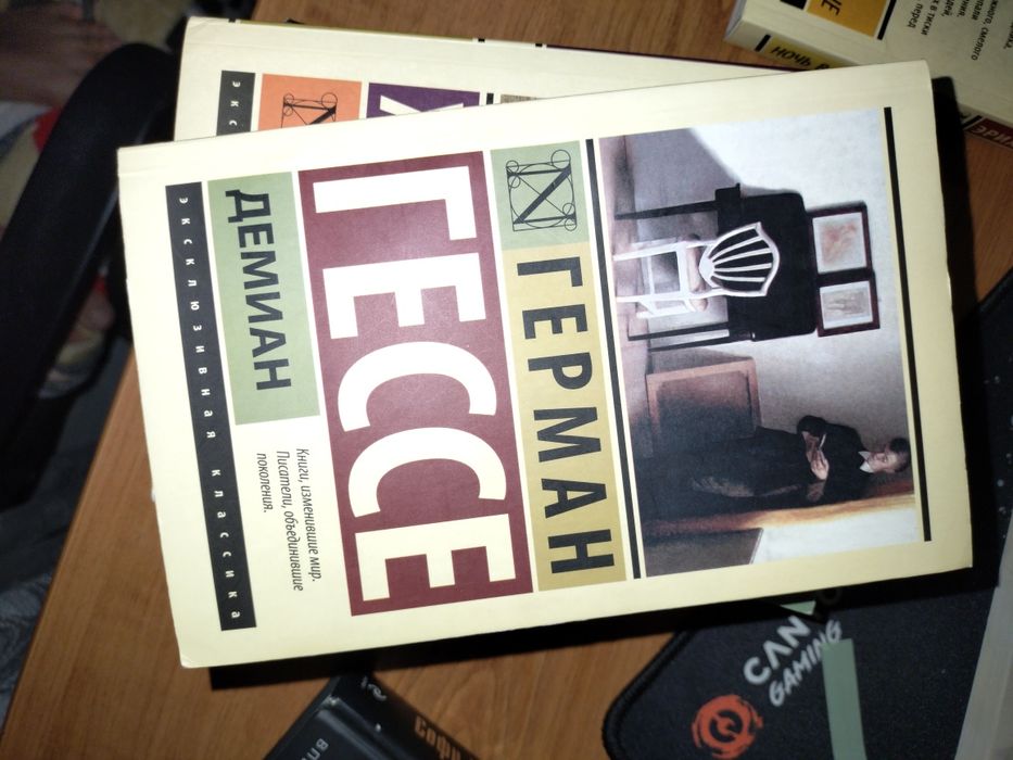 книга "демиан"!!