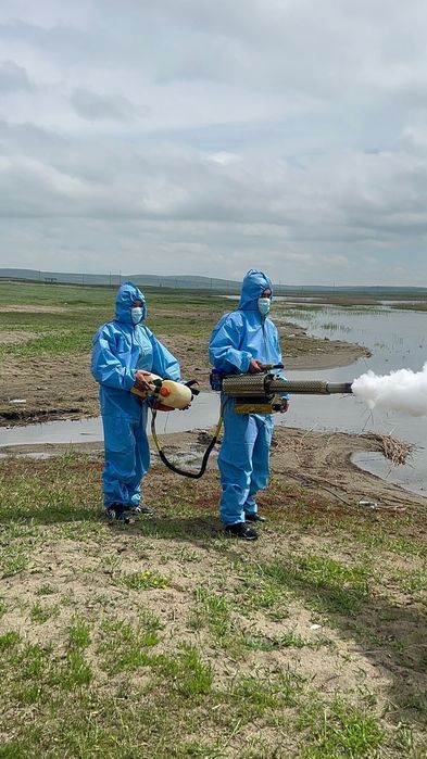Дезинфекция с гарантией результата