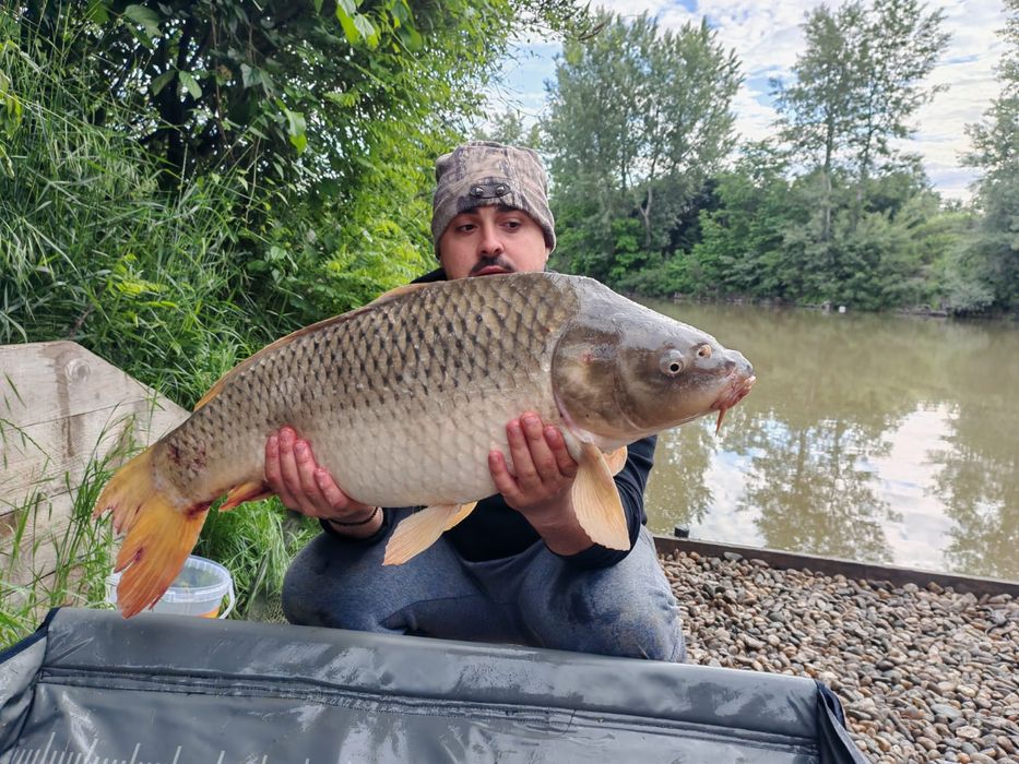 Balta pescuit,zona recreere (mini delta)afacere