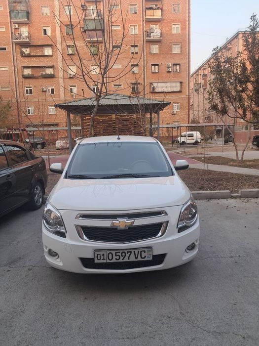 Cobalt sotiladi mexanika