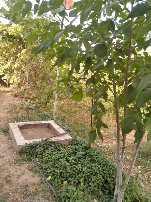 Продаётся отдельностоящий дом из кирпича