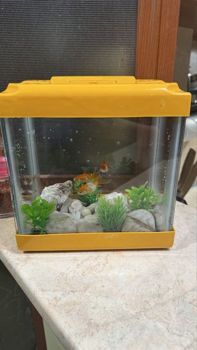 2 бр. аквариум с помпи и рибки