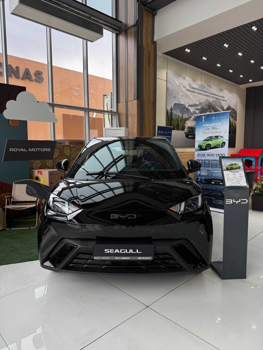 BYD Seagull 405km Flying