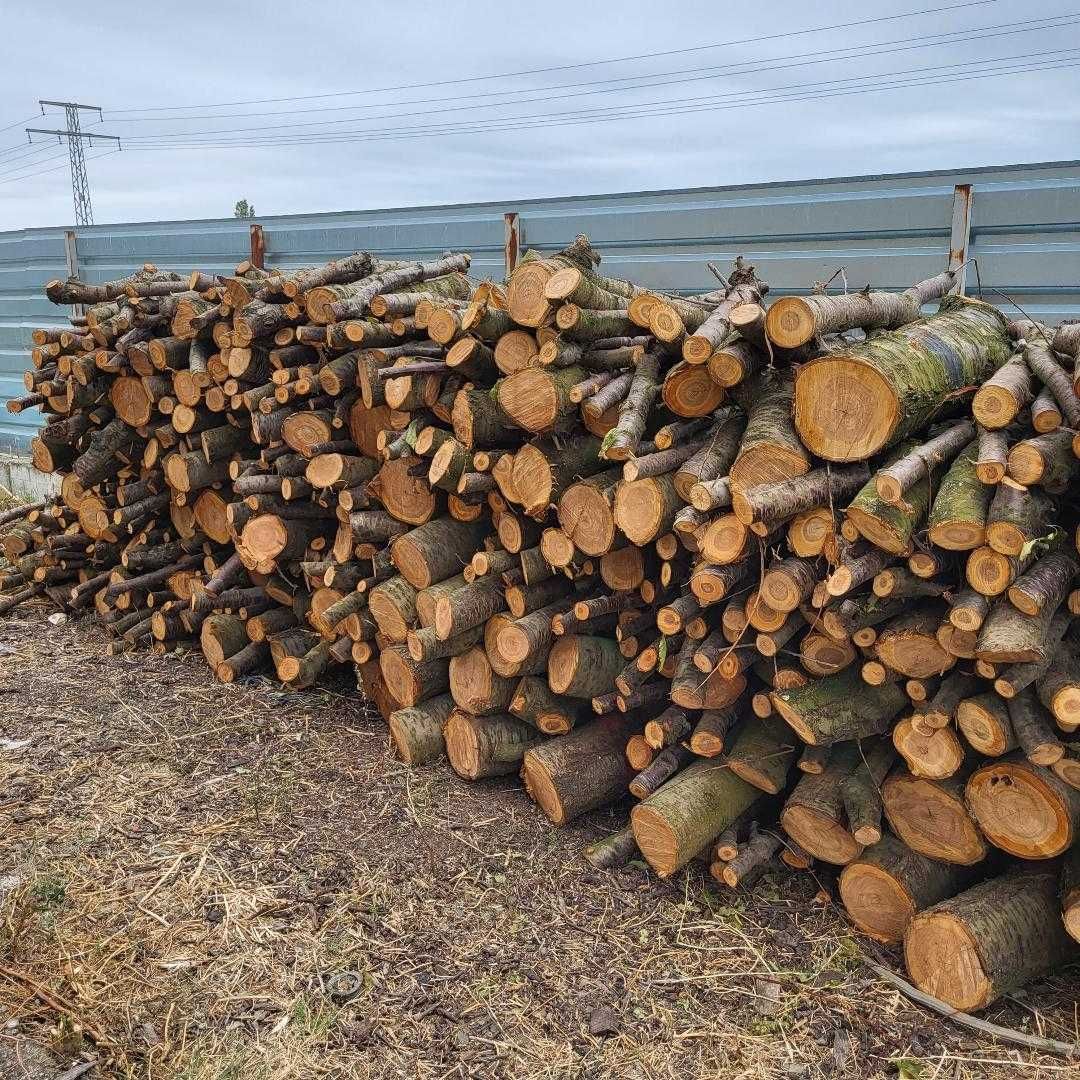Продавам дърва за огрев череша 70 лв/кубик - метровки