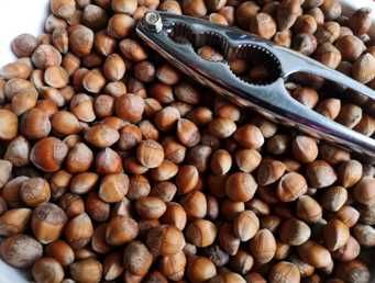 Alune de padure in coaja - Brasov