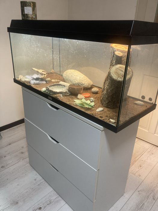 Acvariu/terrariu