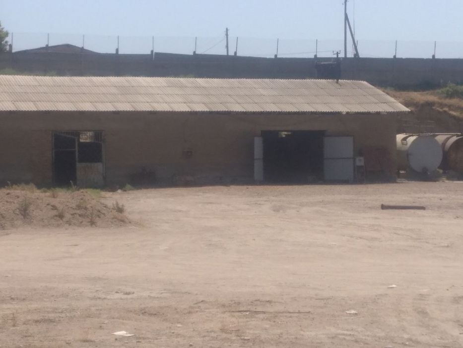 Noturar bino inshoot. Meva uchun 400 tonnalik muzlatkich bor