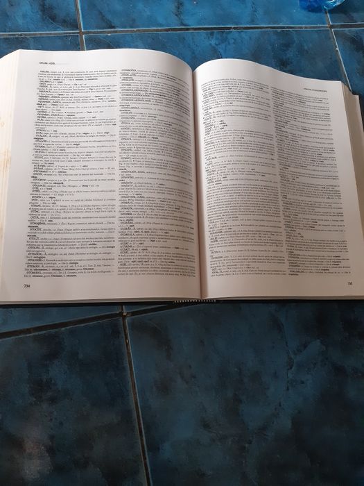 Dictionar expivativ DEX