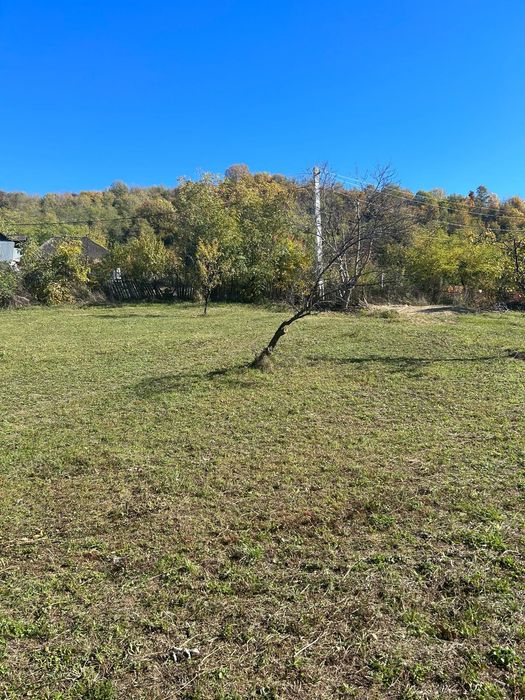 Teren intravilan 2512 Gura Vitioarei