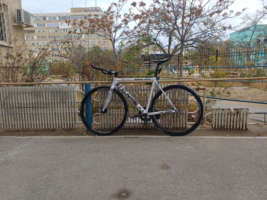 Tsunami snm 100 fixed