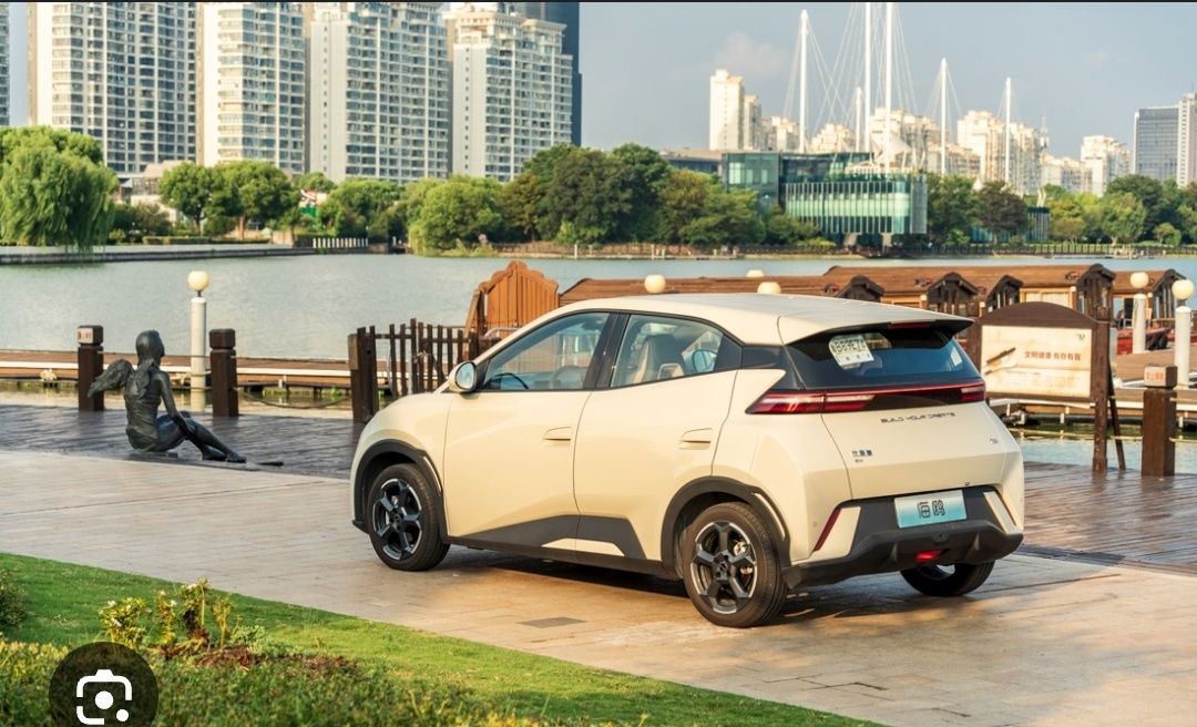 Byd seagull nasiyaga va naqtga
