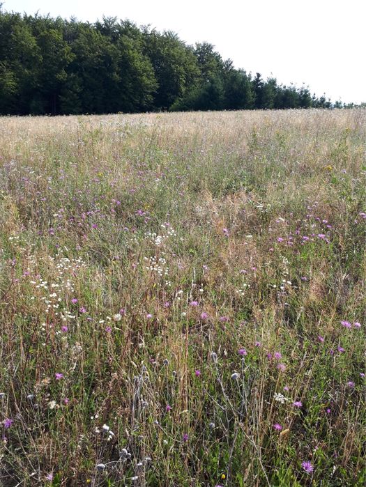 Vand teren comuna Halmășd, cătunul Fufez