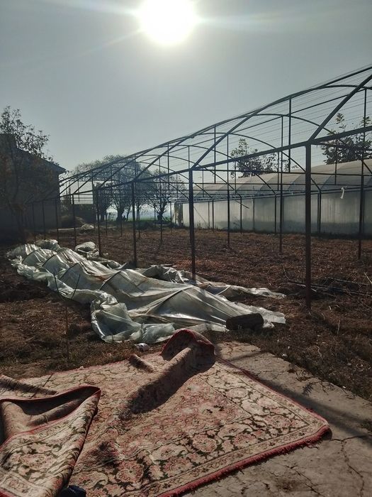 Tplessa parnik sotiladi