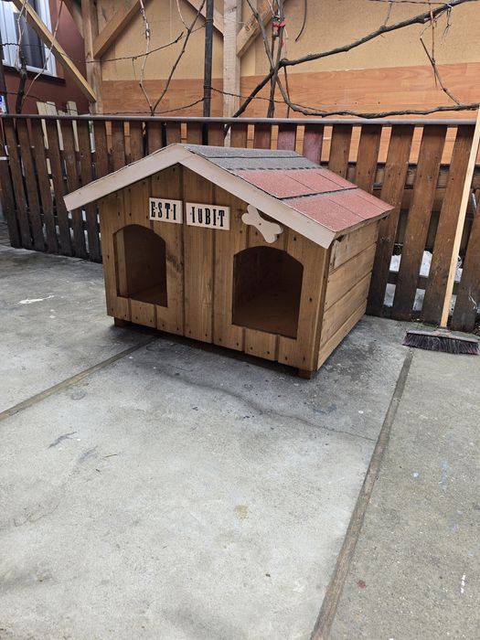 Cotete/cușcă! Câine