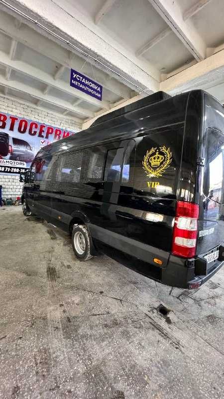 asia star premium microaftobus