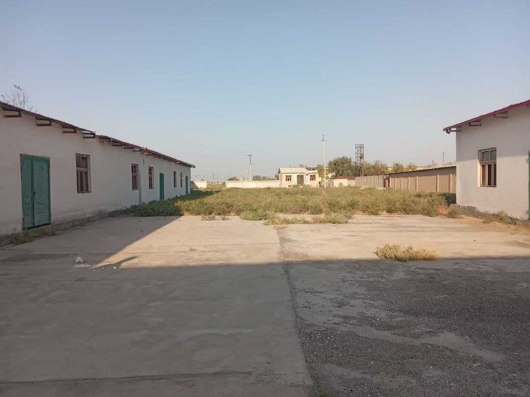 Sirdaryo viloyati, Yangiyer shahrida Chinni sex binosi sotiladi