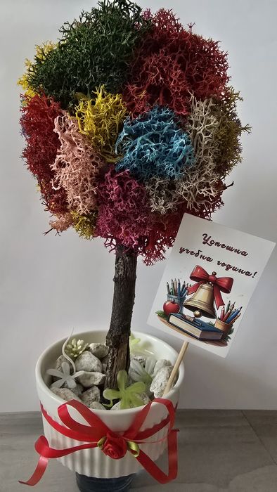 Подаръци с мъх , кашпи с рози