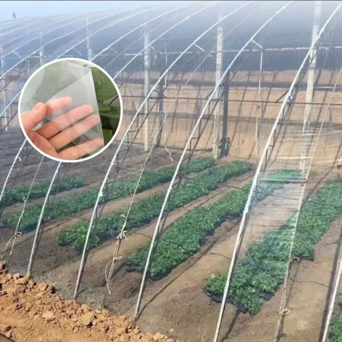 Issiqxona uchun plyonka – UV himoyalangan, sifatli, arzon narxlarda!