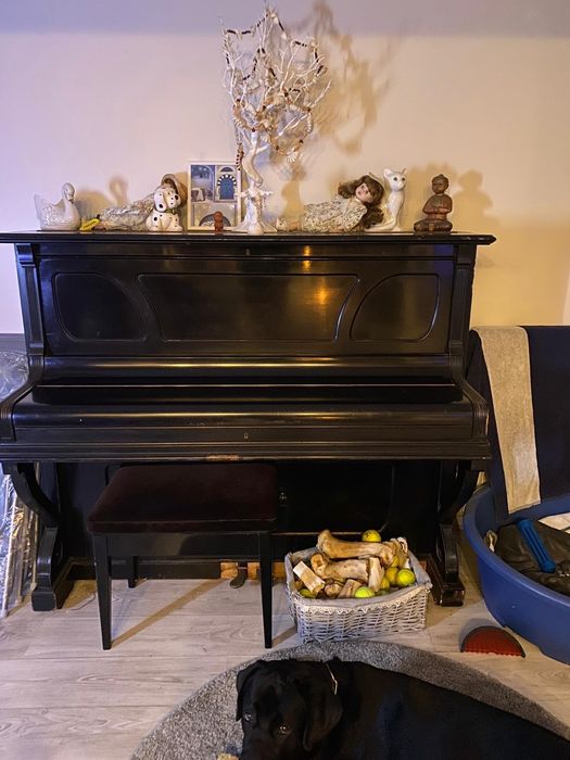 Pianină Julius Blüthner, secol XIX – 1000 € negociabil