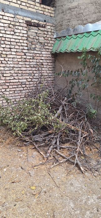 Продаются сухие дрова и дерево (орех) на сруб