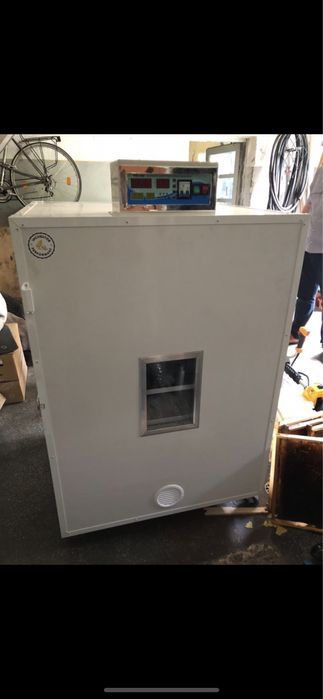 Prepelite oua pui custi maternități capcane