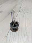 Becuri xenon Ostram Xenarc D2S
