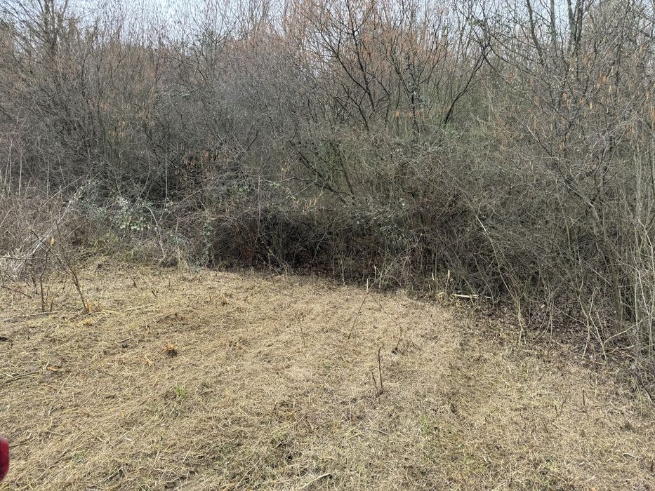 Defrisare terenuri pasuni, spini,maracini