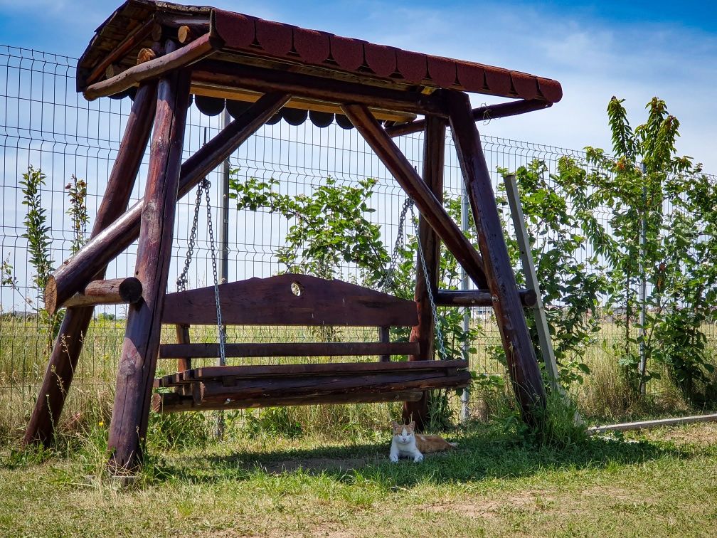 Inchiriez curte Curtea lui Stef - picnic și evenimente în aer liber