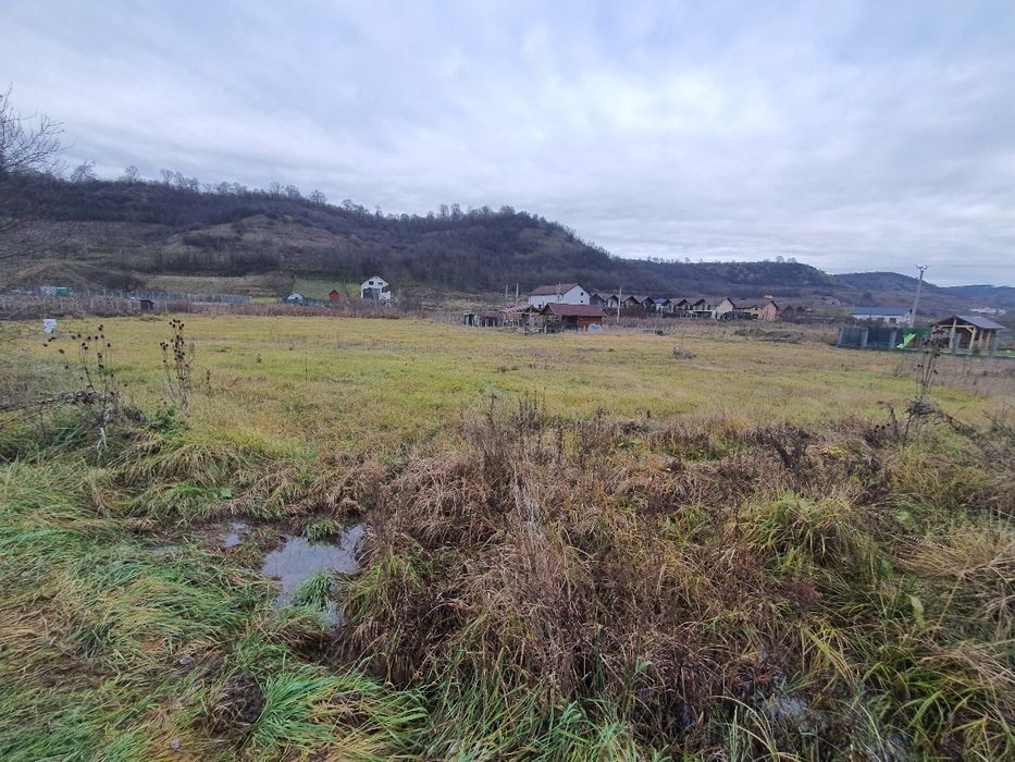 7,8 ari teren intravilan in Livezeni cu Pug aprobat