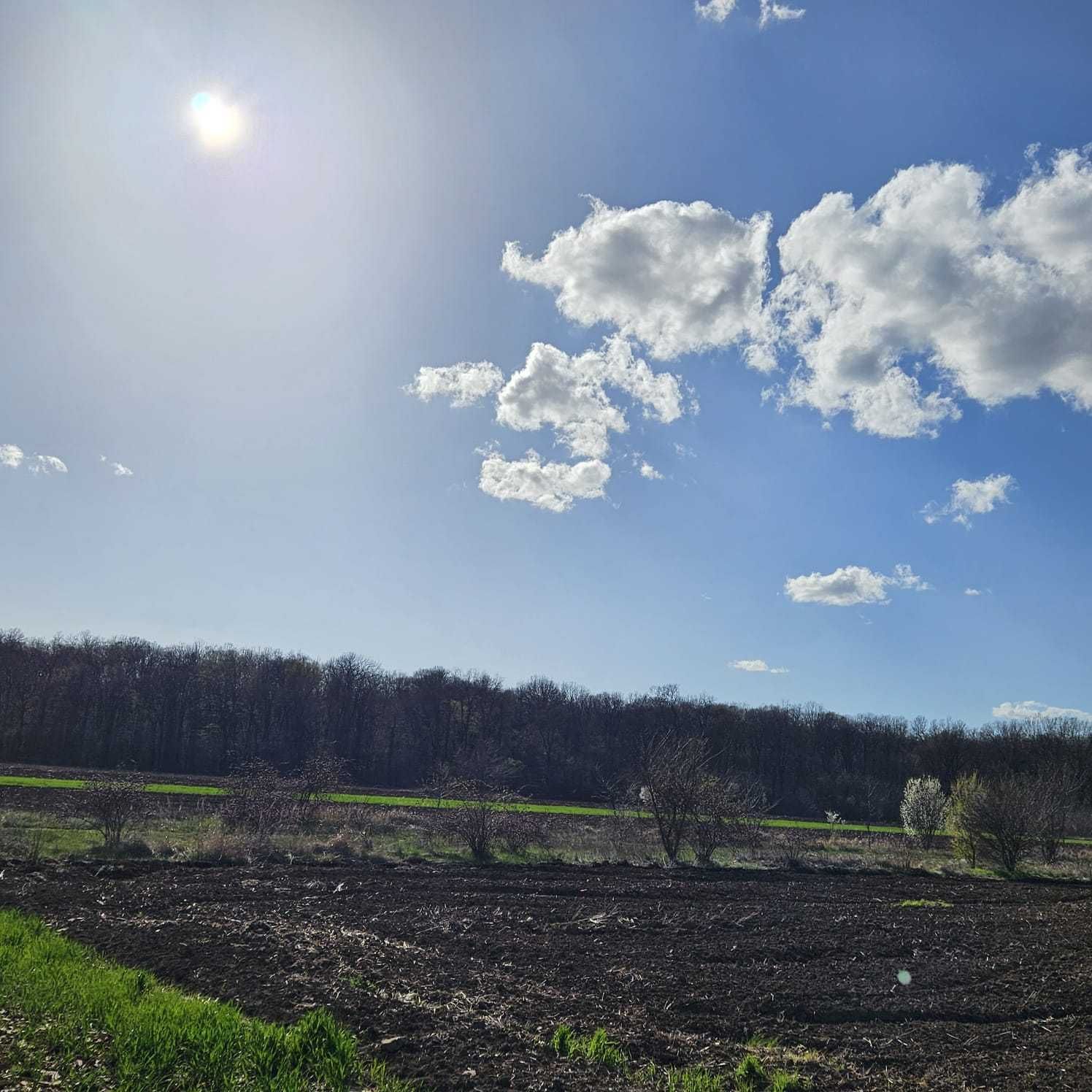 Teren vecin cu padurea Sabareni