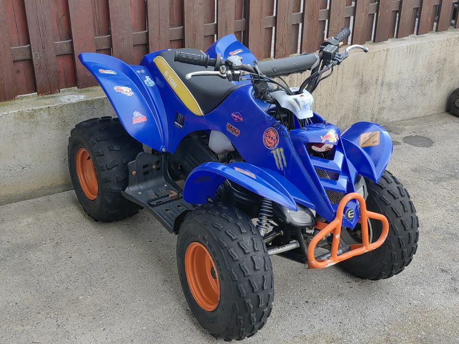 Vand atv e-ton viper cobra rlx 90 ccm 2 timpi.