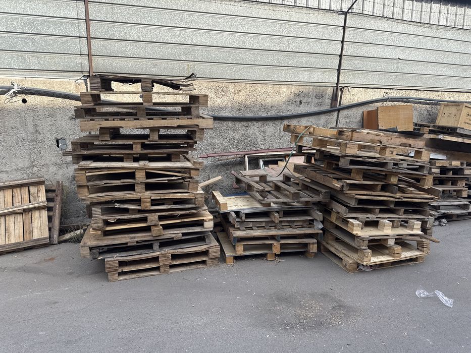 Подонны отдам бесплатно