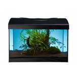 Acvariu Diversa 20L
