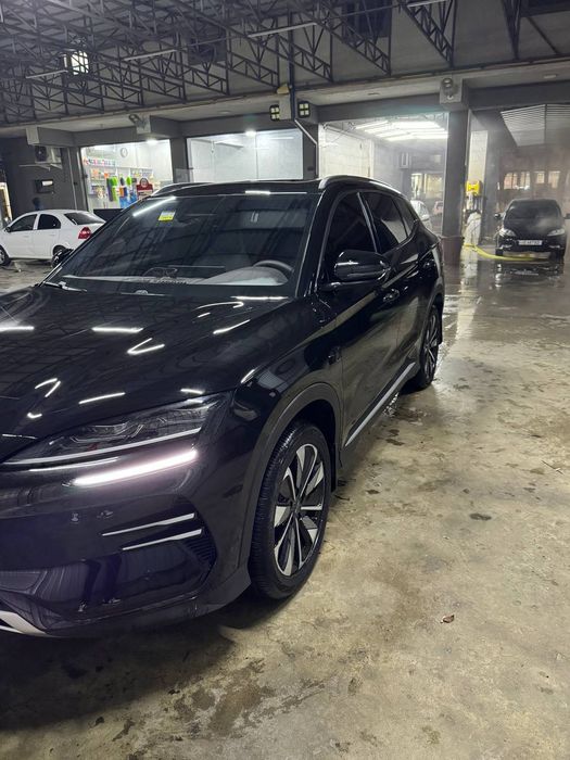 BYD champion smart 2025