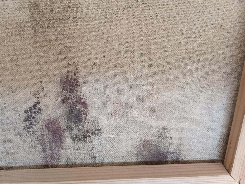 Картина на Петър Колев