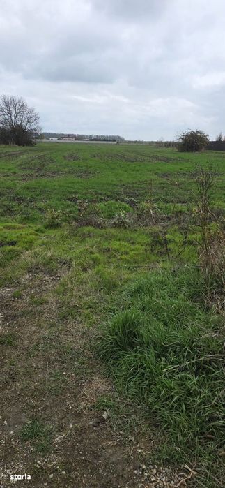 1 Decembrie - Teren 2500 Mp