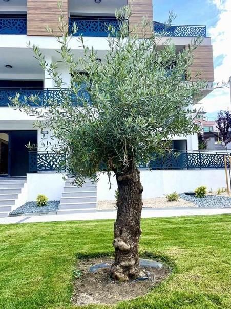 Продава се Едностаен апартамент в Бургас, Център - 45 кв.м за 1334 €/кв.м - Снимка #6