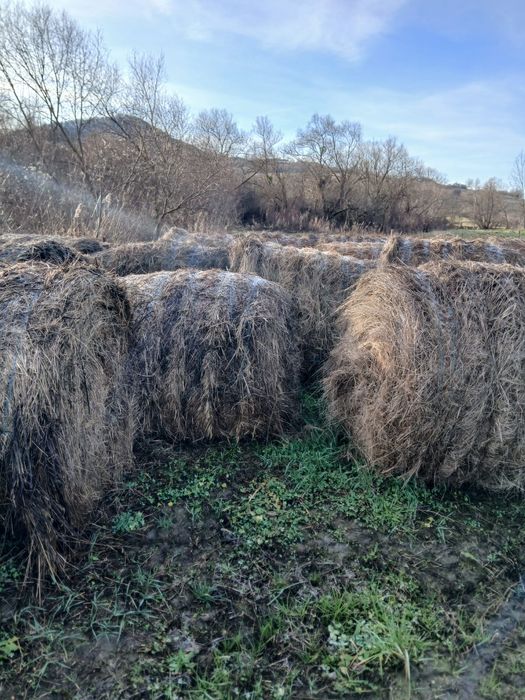Vând Baloți Fânețe