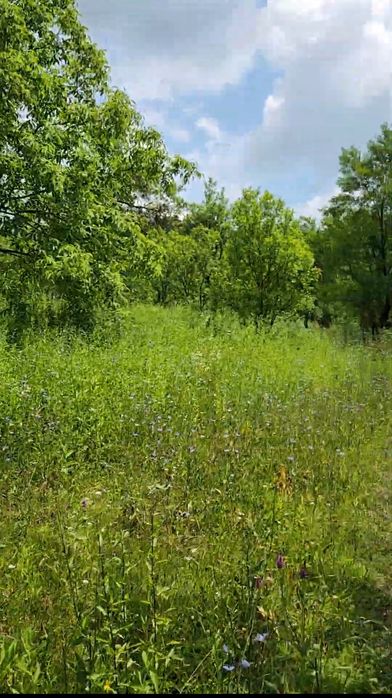 Teren munte Moroeni - Sinaia - Padina