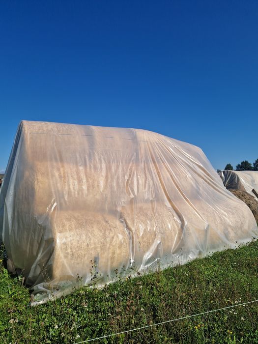 Vând baloti rotunzi.