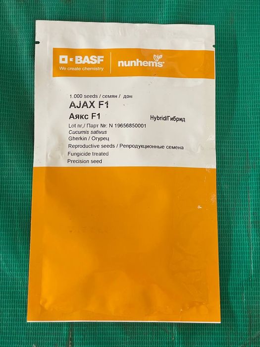 Семена разных видов