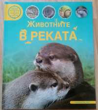 Детска книга - Животните в реката