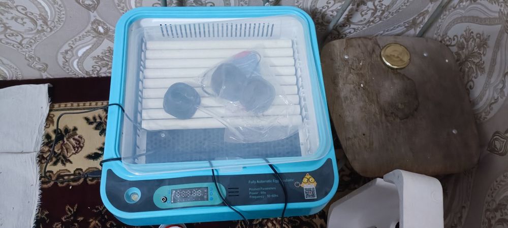 Инкубатор янги сотилади